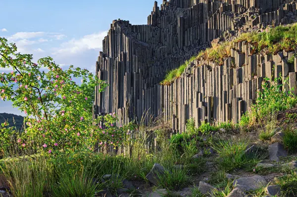 Herrnhausfelsen olarak da adlandırılan bazalt sütunların çokgen yapılarına, Prachen (Çek Cumhuriyeti) yakınlarındaki doğal anıt Panska skala 'ya bakınız. Bazalt, patlamadan sonra oluşan bir volkanik kayadır..