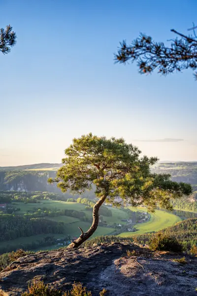 Lilienstein Dağı 'ndan Koenigstein kasabası ve çevresindeki kayalar, tarlalar, ağaçlar ve Elbe nehri, Sakson İsviçre, Almanya.