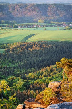 Lilienstein Dağı 'ndan güzel bir manzara Sakson İsviçre, Almanya