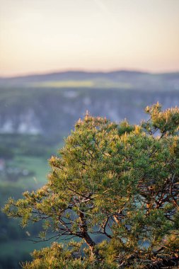 Lilienstein Dağı 'ndan güzel bir manzara Sakson İsviçre, Almanya