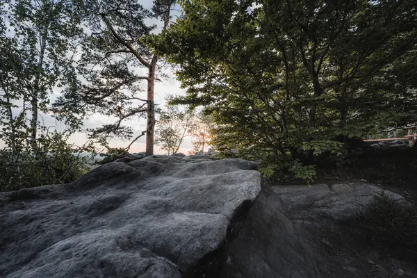 Elbe kumtaşı dağlarındaki carolafelsen manzarası, Almanya.