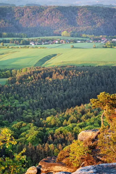 Lilienstein Dağı 'ndan güzel bir manzara Sakson İsviçre, Almanya
