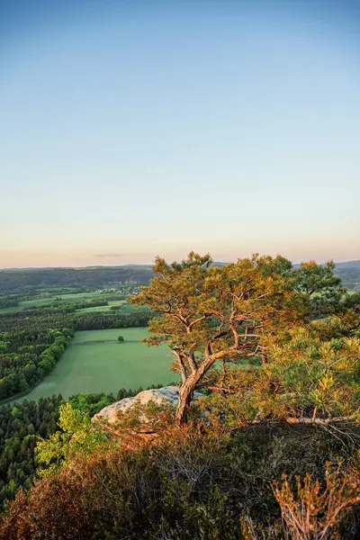 Lilienstein Dağı 'ndan güzel bir manzara Sakson İsviçre, Almanya