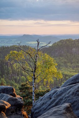 View from Carolafelsen towards Schrammsteine sandstone massif,  in Saxon Switzerland, Deutschland