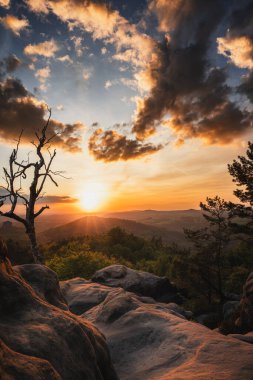 View from Carolafelsen towards Schrammsteine sandstone massif,  in Saxon Switzerland, Deutschland