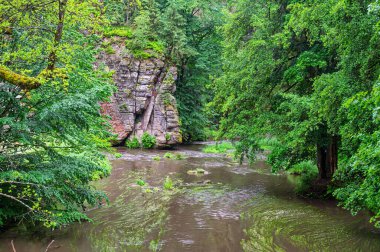 Dolsky mlyn ve kamenice nehri, Kuzey Bohemya 'da yaz başında Bohem İsviçre' de. Yağmurlu gün. 