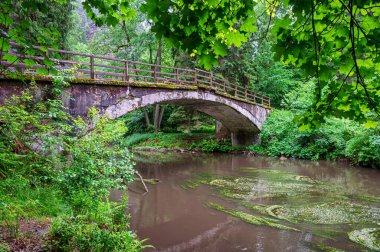 Dolsky mlyn ve kamenice nehri, Kuzey Bohemya 'da yaz başında Bohem İsviçre' de. Yağmurlu gün. 