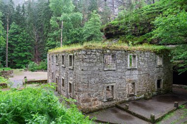 Kamenice nehri, Bohem İsviçre 'deki terk edilmiş Dolsky Mill' in güzel manzarası. Peri masalı toprakları. Elbe Kumtaşı Dağları 'nın efsanevi doğal manzarası.