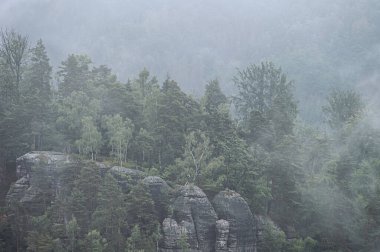 Jetrichovice, Çek Cumhuriyeti - Mariina Vyhlidka 'nın (Mary' nin manzarası) puslu Çek yaz gündoğumu ile Bohemian İsviçre Ulusal Parkı 'nda gözcülük