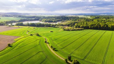 Bereketli yeşil tarım arazileri ve sakin bir göl içeren sakin bir kırsal manzaranın manzarası. Hava görünümü.
