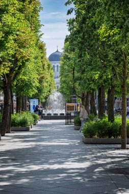 Kaunas, Litvanya, 3 Haziran 2025: Liberty Bulvarı - Laisves aleja, Kaunas. Litvanya