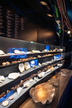 KLAIPEDA, LITHUANIA - 4 Haziran 2025: Litvanya 'daki Klaipeda Deniz Müzesi' nin iç görünümü. 