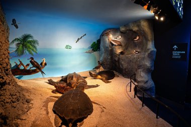 KLAIPEDA, LITHUANIA - 4 Haziran 2025: Litvanya 'daki Klaipeda Deniz Müzesi' nin iç görünümü. 