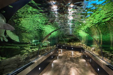 Litvanya 'daki Klaipeda Deniz Müzesi' nin iç manzarasında deniz yaşamı sergileri ve eğitim sergileri sergileniyor. 