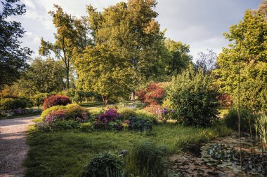 Çek Cumhuriyeti 'nin Castolovice kentindeki bir sarayın yaz manzarası