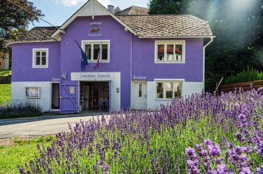 Bezdekov, Çek Cumhuriyeti - 3 Temmuz 2021: Bir lavanta tarlası ve tarım haritasında lavanta dükkanı ve içki imalathanesi.