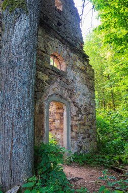 Çek-Polonya sınır bölgesinde bir barok şapelinin kalıntıları. Kamieczyk, Polonya.