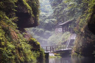 Edmundova Souteska (Edmund Boğazı) Çek Cumhuriyeti, Bohemian İsviçre 'de Hrensko yakınlarında