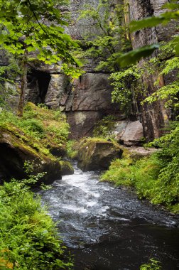 Edmundova Souteska (Edmund Boğazı) Çek Cumhuriyeti, Bohemian İsviçre 'de Hrensko yakınlarında
