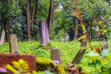 Luze, Çek Cumhuriyeti - 14 Ağustos 2021: Yahudi mezarlığı Çek Cumhuriyeti 'nin Pardubice Bölgesi' nin Chrudim ilçesine bağlı Luze kasabasının bir kilometre doğusunda yer almaktadır. 