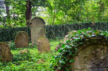 Luze, Çek Cumhuriyeti - 14 Ağustos 2021: Yahudi mezarlığı Çek Cumhuriyeti 'nin Pardubice Bölgesi' nin Chrudim ilçesine bağlı Luze kasabasının bir kilometre doğusunda yer almaktadır. 