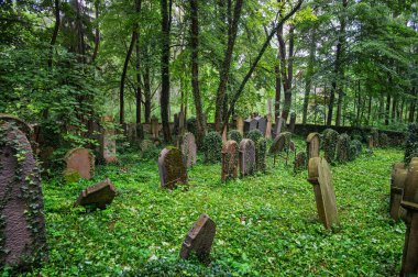 Luze, Çek Cumhuriyeti - 14 Ağustos 2021: Yahudi mezarlığı Çek Cumhuriyeti 'nin Pardubice Bölgesi' nin Chrudim ilçesine bağlı Luze kasabasının bir kilometre doğusunda yer almaktadır. 