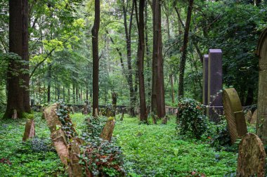 Luze, Çek Cumhuriyeti - 14 Ağustos 2021: Yahudi mezarlığı Çek Cumhuriyeti 'nin Pardubice Bölgesi' nin Chrudim ilçesine bağlı Luze kasabasının bir kilometre doğusunda yer almaktadır. 