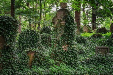 Luze, Çek Cumhuriyeti - 14 Ağustos 2021: Yahudi mezarlığı Çek Cumhuriyeti 'nin Pardubice Bölgesi' nin Chrudim ilçesine bağlı Luze kasabasının bir kilometre doğusunda yer almaktadır. 