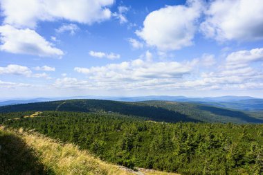 Polonya 'nın Karkonosze Dağları' ndaki Szrenica Dağı 'nın yaz manzarası. Dev Dağlar