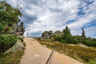 The Three Pigs rock grubu (pol. Trzy winki, czech Svinsk kameny). Polonya-Çek sınırında, deniz seviyesinden 1290 metre yükseklikte. Dev Dağlar Ulusal Parkı.