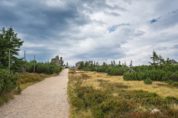 The Three Pigs rock grubu (pol. Trzy winki, czech Svinsk kameny). Polonya-Çek sınırında, deniz seviyesinden 1290 metre yükseklikte. Dev Dağlar Ulusal Parkı.