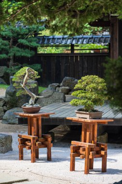 Polonya 'nın Karpacz kentindeki Siruwia Japon Bahçesi' nde güzel düzenlenmiş ve sergilenmiş huzurlu zen bahçesi.