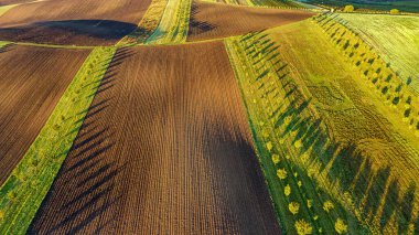 Gündoğumunda Güney Moravya manzarası ve tarım arazisi. Moravian Tuscany, Sardice ve Çek Cumhuriyeti 'ndeki tepelerle tahıl tarlası hattı. Drone görünümü