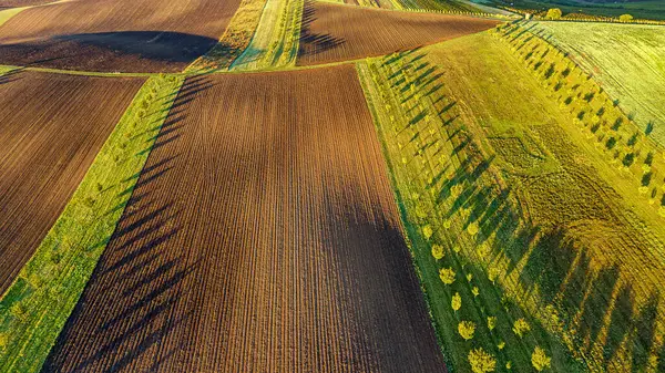Gündoğumunda Güney Moravya manzarası ve tarım arazisi. Moravian Tuscany, Sardice ve Çek Cumhuriyeti 'ndeki tepelerle tahıl tarlası hattı. Drone görünümü