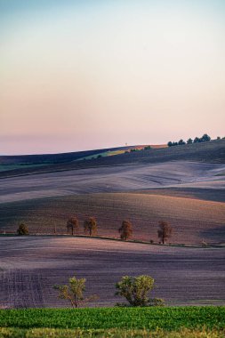 Landscape of South Moravia called Moravian Tuscany in autumn,  Karlin, The Czech Republic, Europe