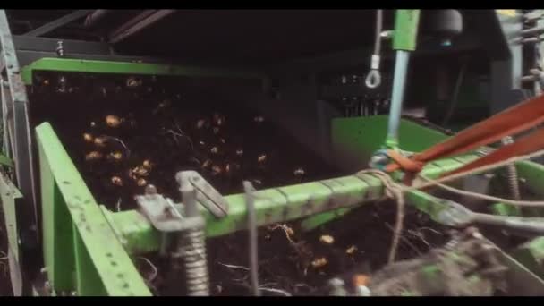 농장에서 감자를 수확하는 기계적 감자를 감자를 창고로운 반하는 — 비디오