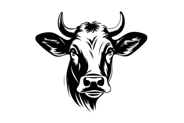 Ręcznie Narysowany Szkic Tuszu Krowy Ilustracja Wektora Stylu Grawerowania — Wektor stockowy