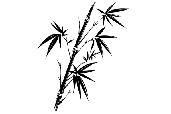 竹の葉と枝の手描きインクスケッチ ベクトルイラスト — ストックベクタ