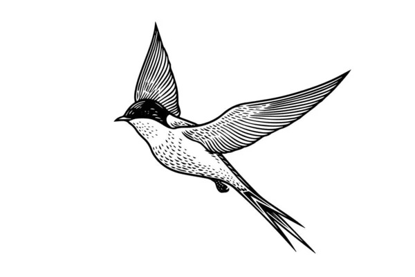 Σκιαγράφημα Μελανιού Ιπτάμενου Χελιού Χειροποίητη Απεικόνιση Διανύσματος Στυλ Χάραξης — Διανυσματικό Αρχείο