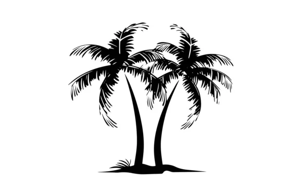Palm Tree Coconut Hand Drawn Sketch Ink Silhouette Vector Illustration — Stock Vector