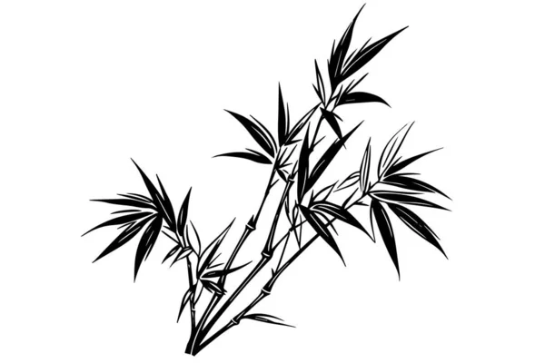 Dibujo Tinta Dibujada Mano Hojas Ramas Bambú Ilustración Vectorial — Vector de stock
