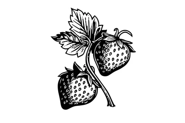 Strawberry Dengan Gaya Ukiran Unsur Desain Untuk Poster Kartu Spanduk - Stok Vektor