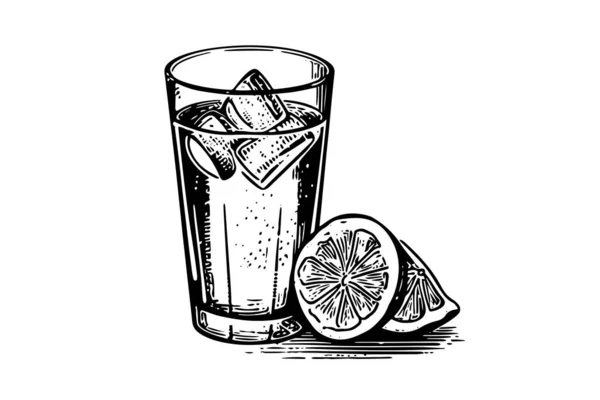 Agua Con Limón Mano Dibujado Grabado Estilo Vector Ilustración — Archivo Imágenes Vectoriales