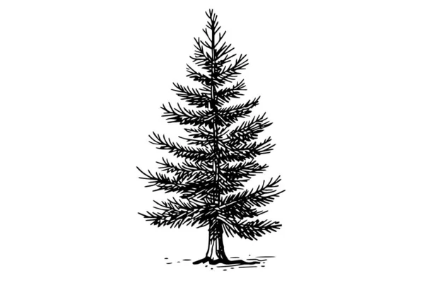 Weihnachtsbaum Vektorillustration Handgezeichnete Tuschezeichnung Stilbild Eingravieren — Stockvektor
