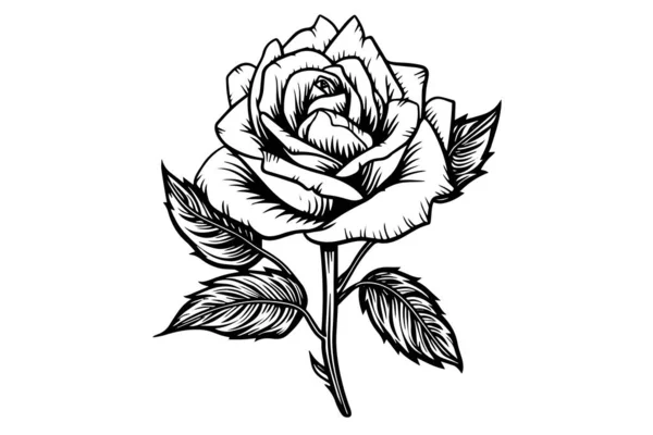 Vintage Rosa Fiore Incisione Calligrafico Victorian Stile Tatuaggio Vettoriale Illustrazione — Vettoriale Stock