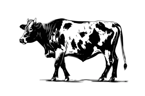 Alpine Cow Vector Hand Drawn Engraving Style Illustration — Stock Vector
