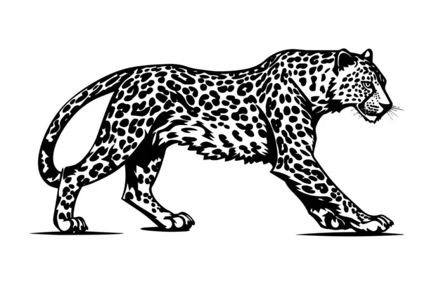 Schwarz Weiße Handgezeichnete Skizze Von Leopardenwanderungen Vektorillustration — Stockvektor