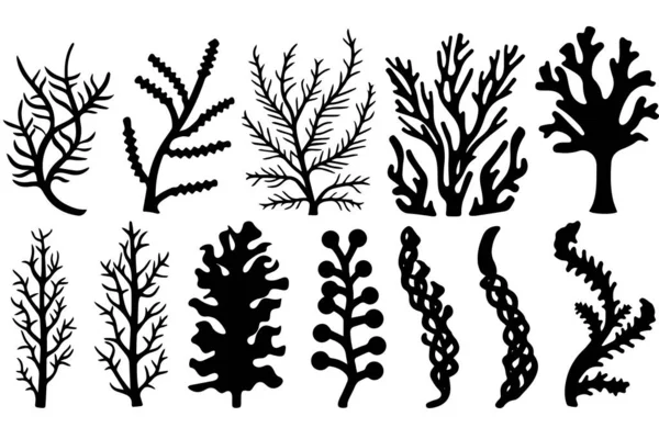 Conjunto Dibujado Mano Corales Silueta Algas Aisladas Sobre Fondo Blanco — Archivo Imágenes Vectoriales