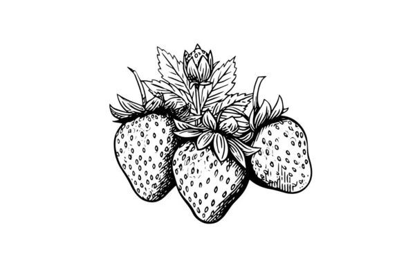 Strawberry Dengan Gaya Ukiran Unsur Desain Untuk Poster Kartu Spanduk - Stok Vektor