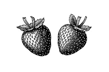 Strawberry in engraving style. Design element for poster, card, banner, sign. Vector illustration clipart